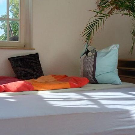 Forrest Apartments In Freiberg Min Stay 2 Nights Max Number Of Guest 1 Aprt 1 Ngoại thất bức ảnh