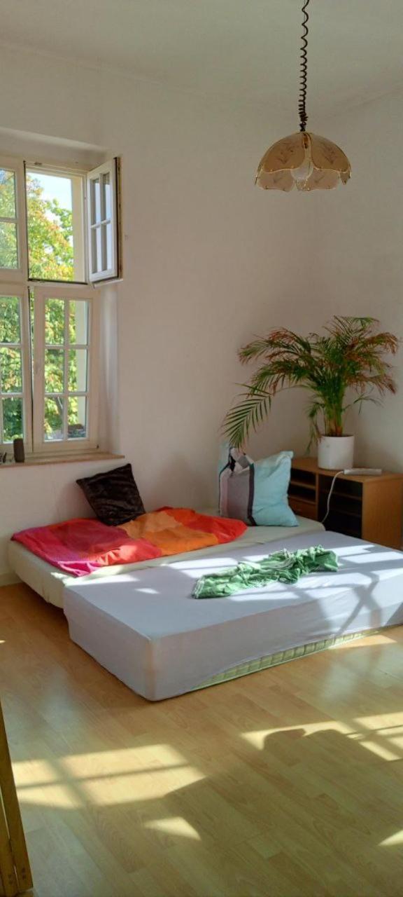 Forrest Apartments In Freiberg Min Stay 2 Nights Max Number Of Guest 1 Aprt 1 Ngoại thất bức ảnh